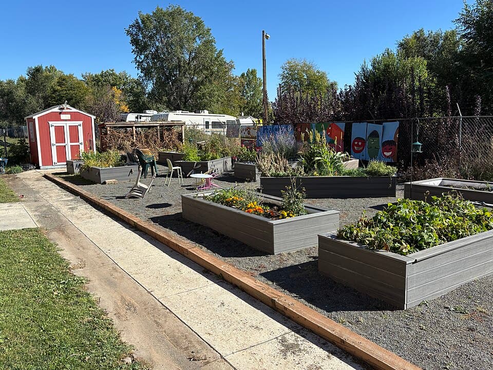 Raised garden beds with a shed and seating in a shared garden in Lafayette, Colorado
